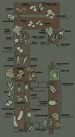 Garden plan with illustrations